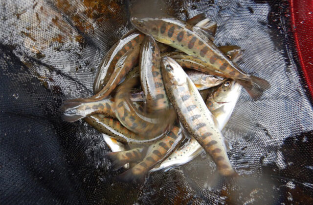 2月13日 岩松誠一様1