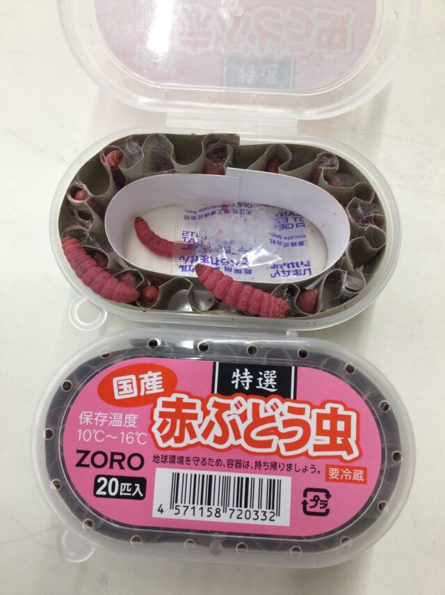 4-BO_ti4fcAwpgakHE4jb2vAnHV41CCK1Hh_n-zXn2tH4XJ3havXWW_jk8Sx3ksFXGYnlOnvJFOgtugPU5G3Zehk7JK5v80Xn8k7wqLC9sgdZXgCv4pjMUm1Js8zP-p7kCPUNF5rJUTpUxwFl42Qjw==