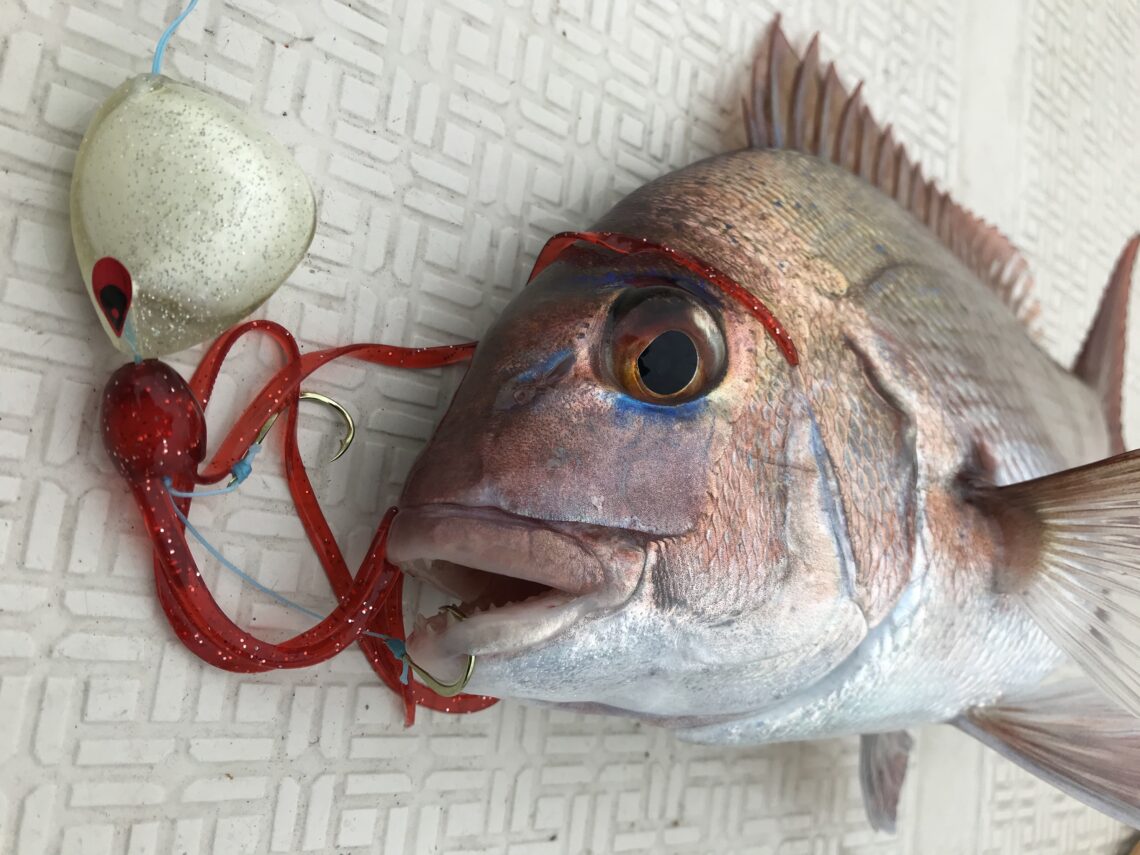 5C172713-E6A5-4D92-AA0E-EC2A8CFF8005