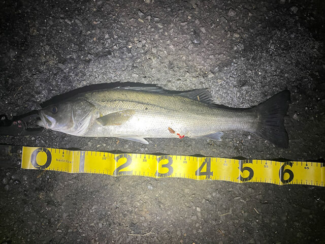 2月21日-深津様1