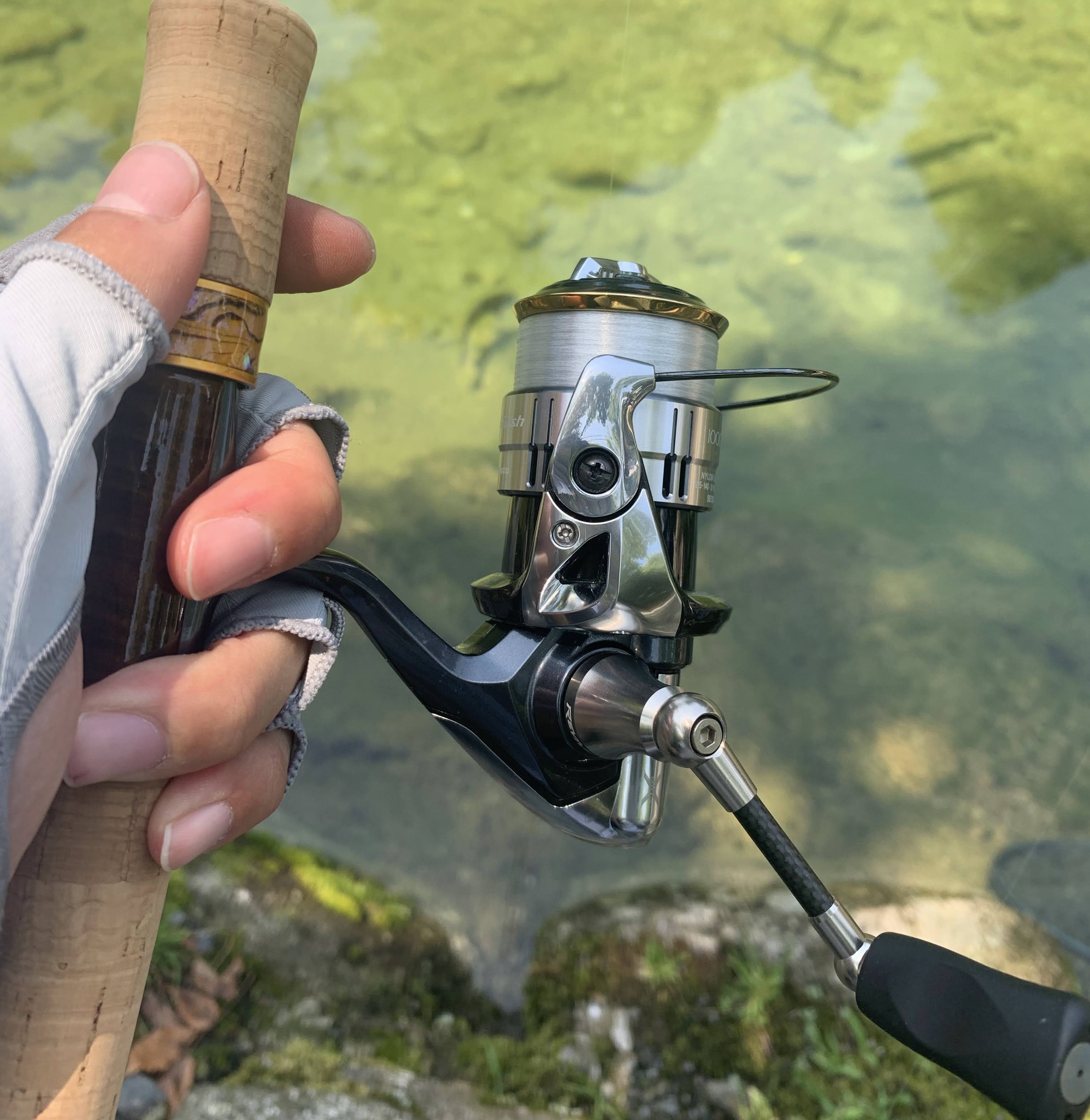 トラウト エリアトラウト | フィッシング遊