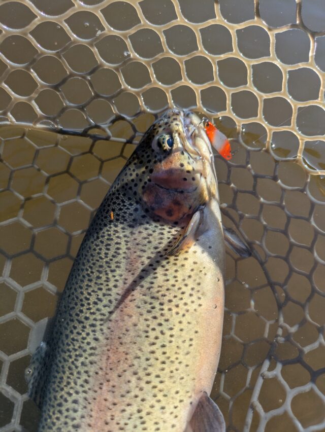 PXL_20251213_005108858