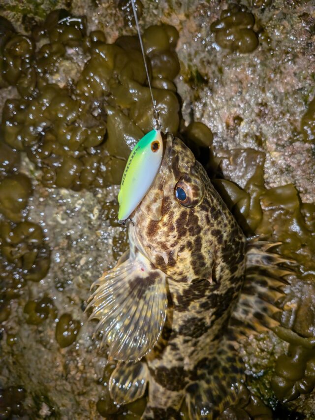 PXL_20260201_163402969