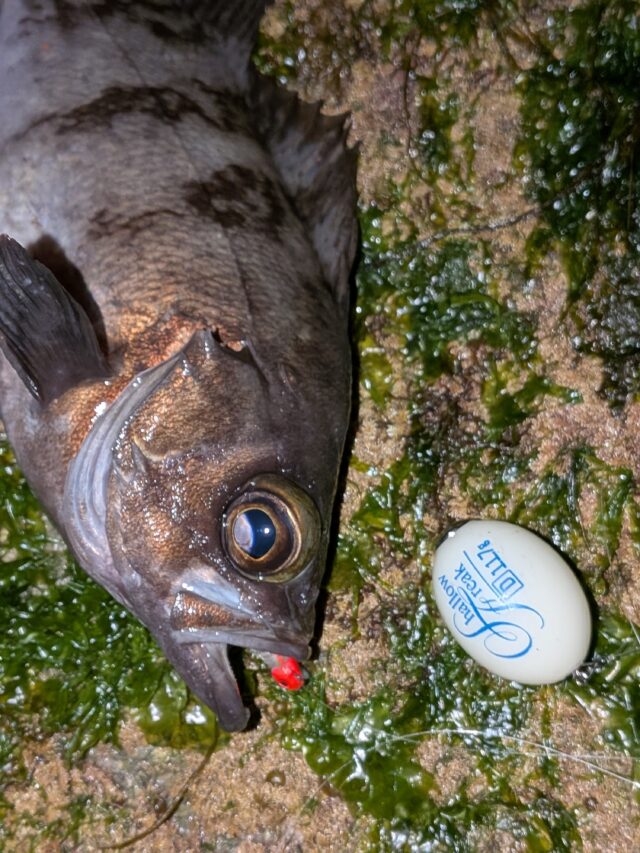 PXL_20260202_135524867.PORTRAIT.ORIGINAL