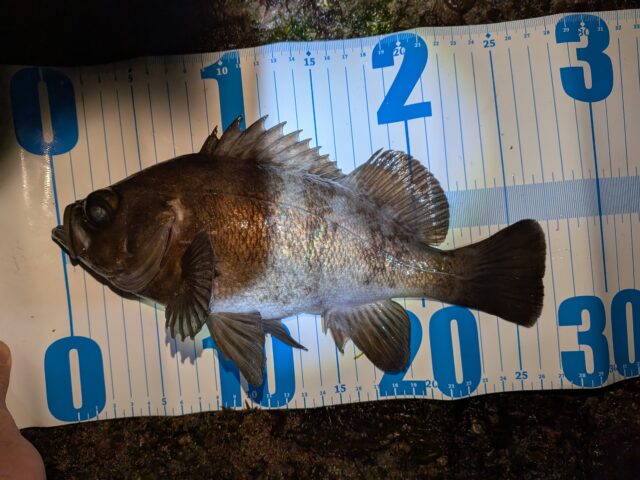 PXL_20260202_151656652