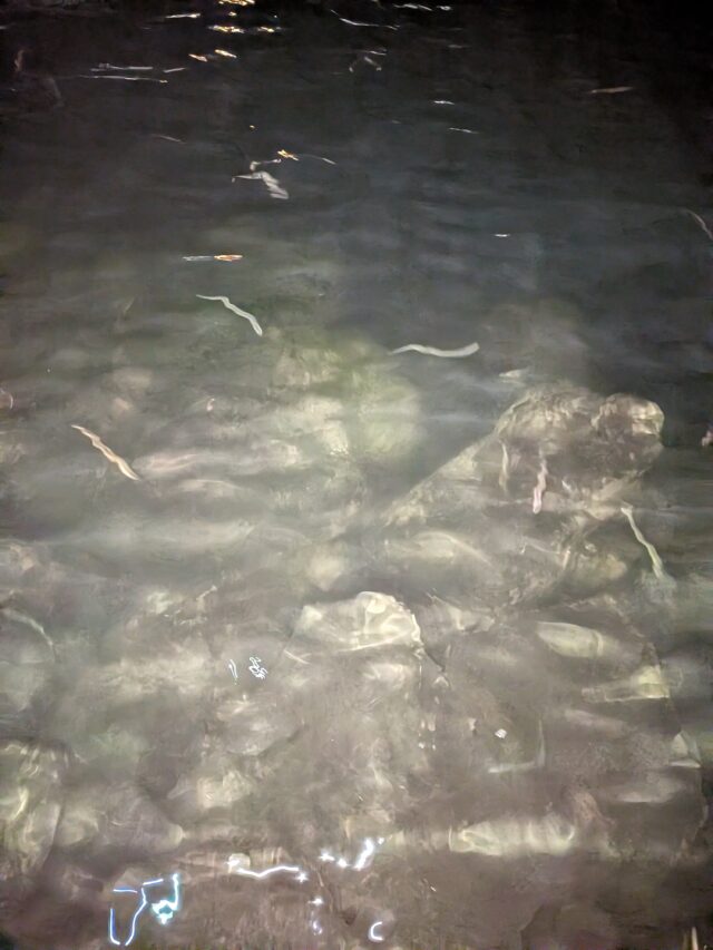 PXL_20260205_123040838