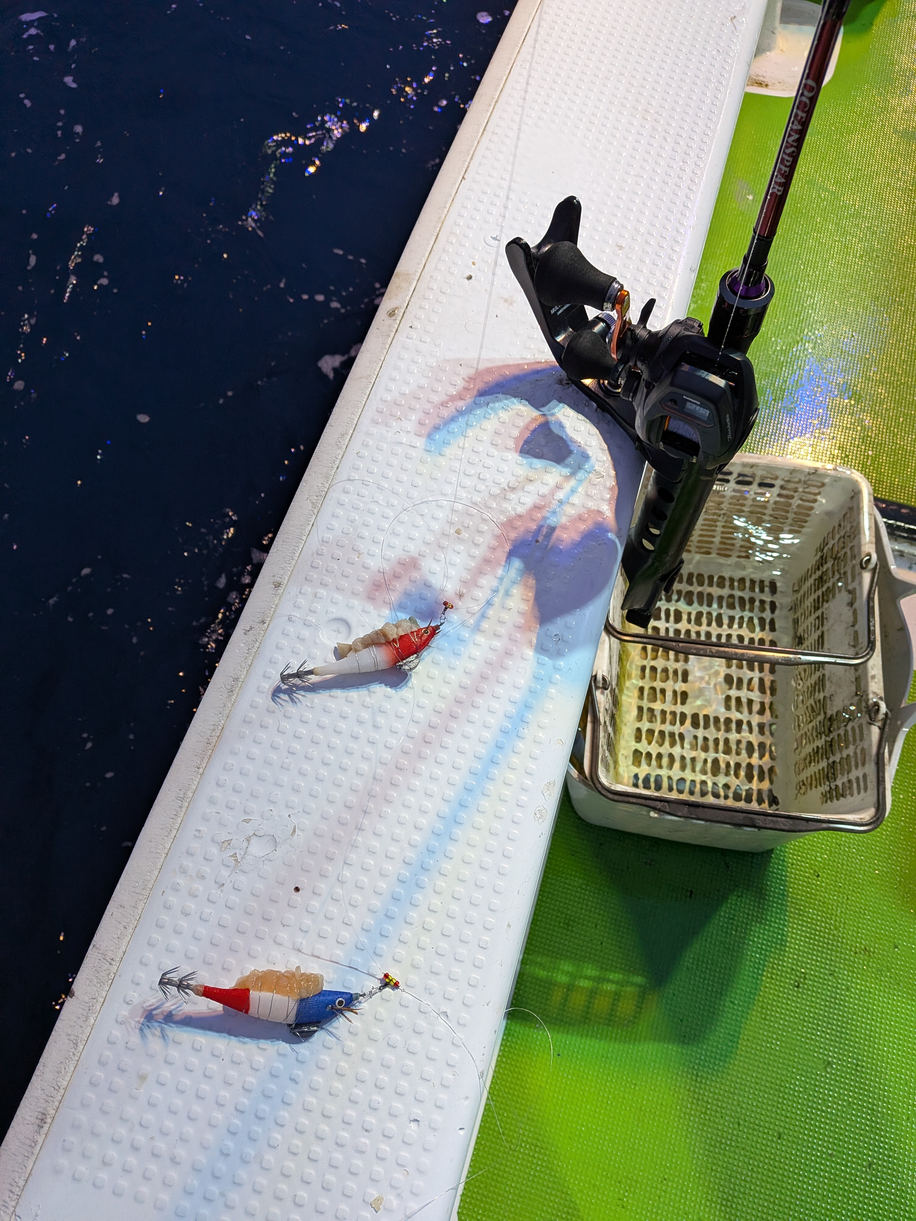 PXL_20260210_084130165.MP