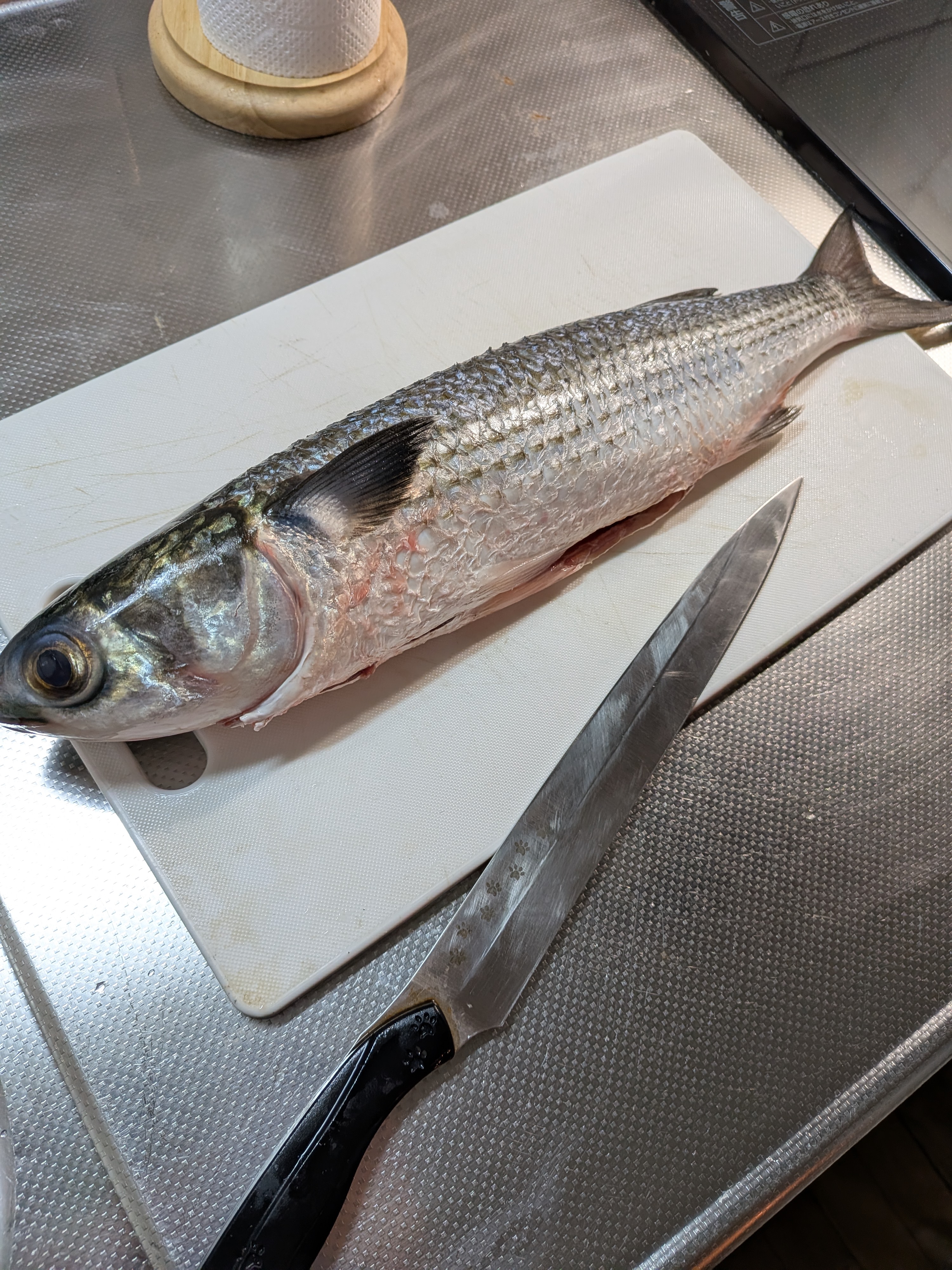 PXL_20260210_133534840.MP