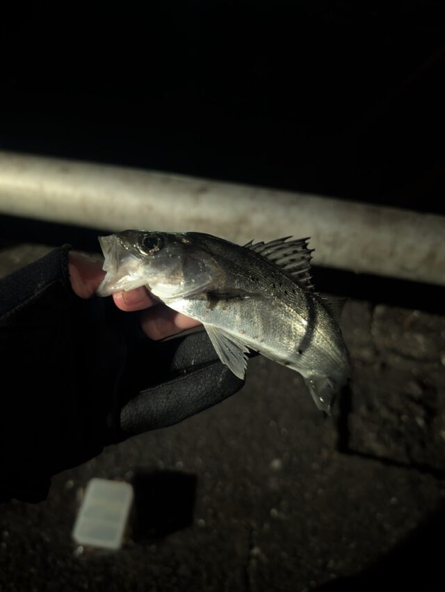 PXL_20260214_122243453