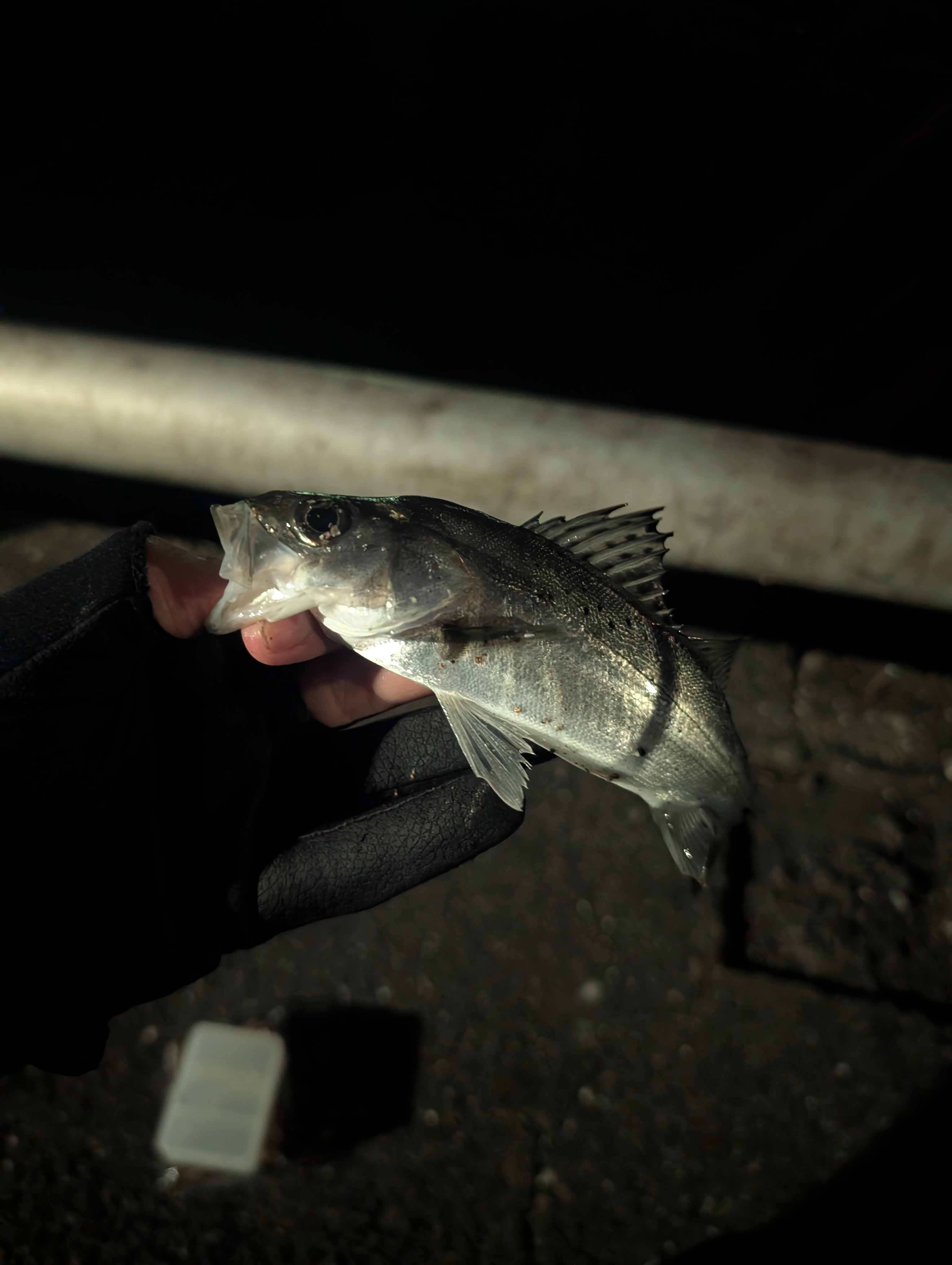 PXL_20260214_122243453