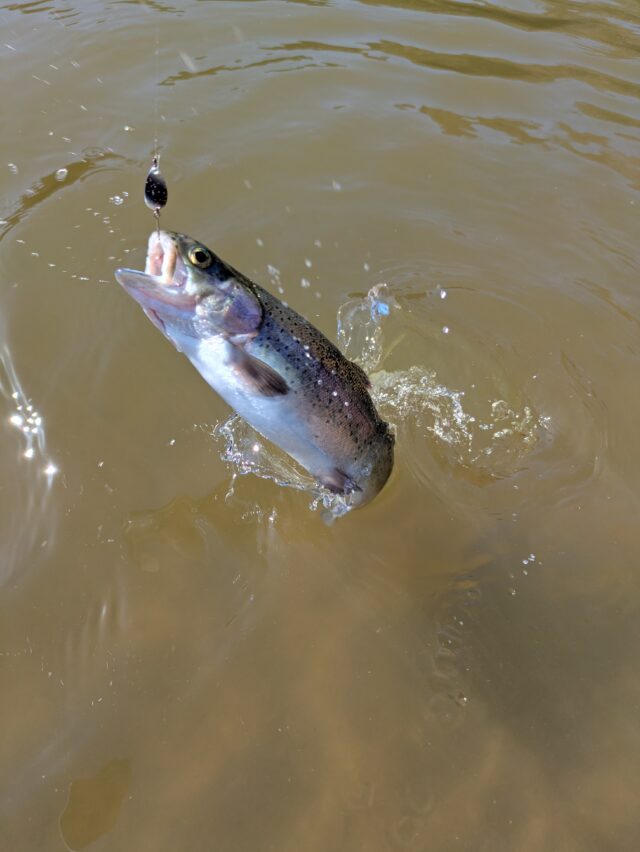 PXL_20260217_020929277