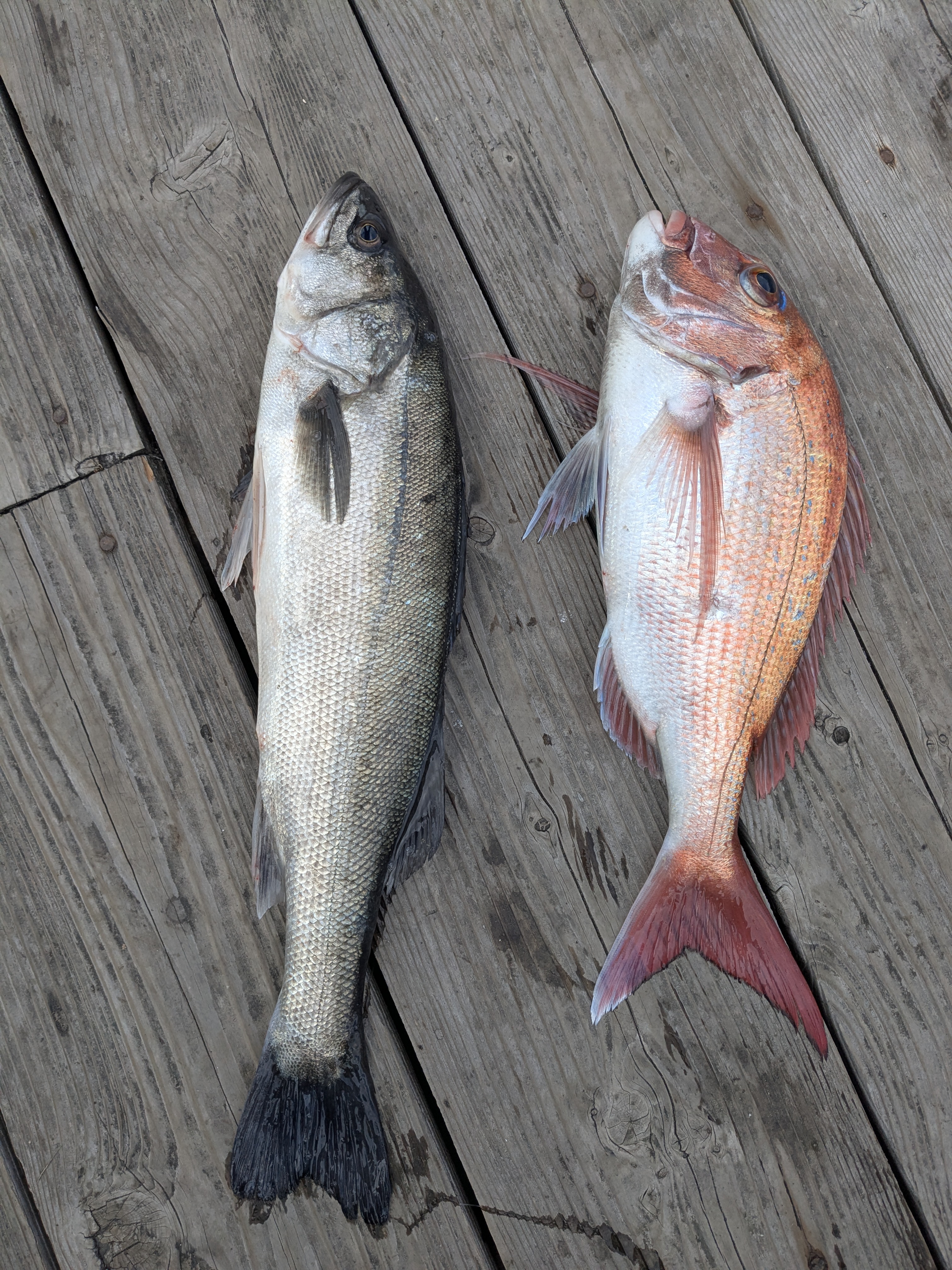 PXL_20260217_050622796