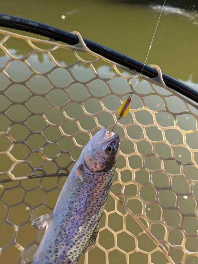 PXL_20260217_063420154