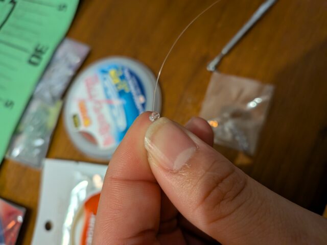 PXL_20260217_130257285.MACRO_FOCUS.MP