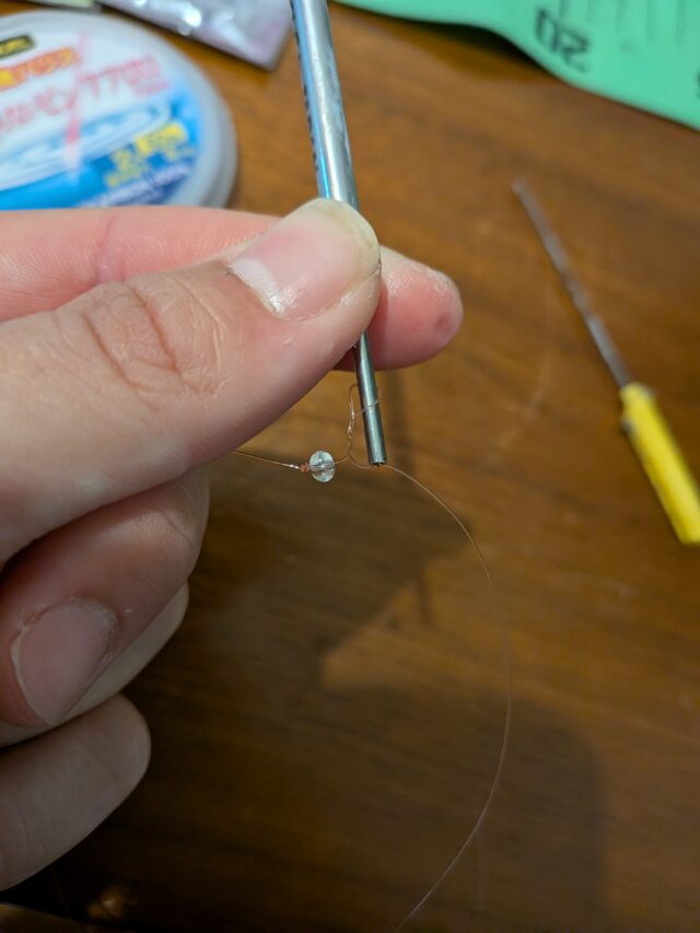 PXL_20260217_130604623.MACRO_FOCUS.MP