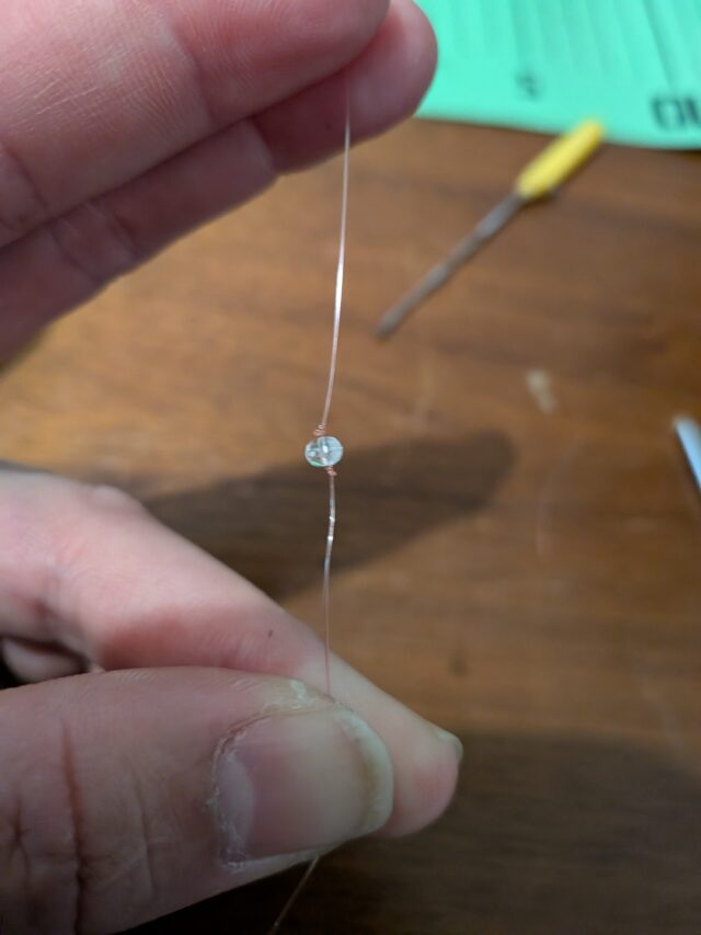 PXL_20260217_131423961.MACRO_FOCUS.MP