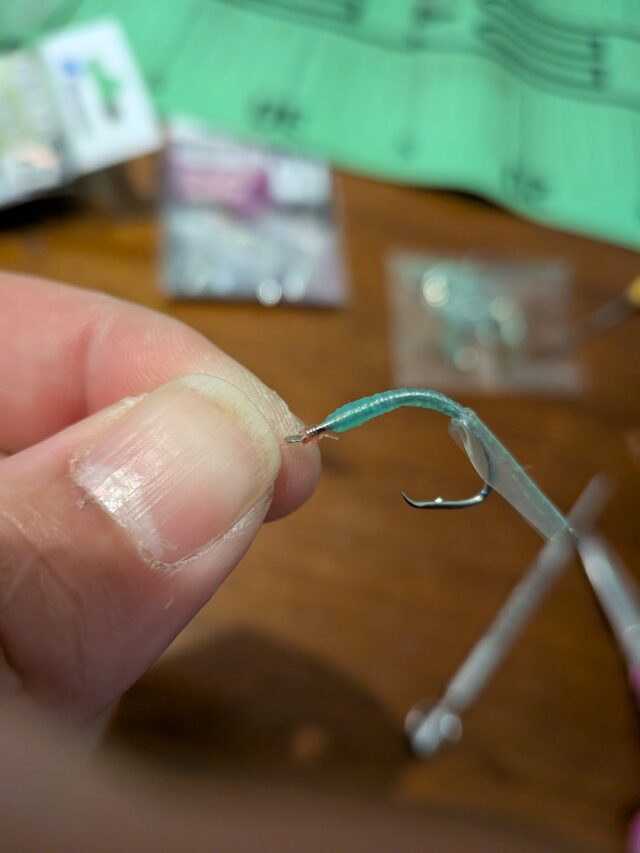 PXL_20260217_132007923.MACRO_FOCUS.MP