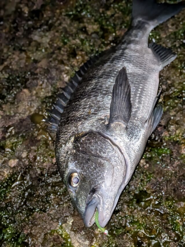 PXL_20260217_162717263.PORTRAIT