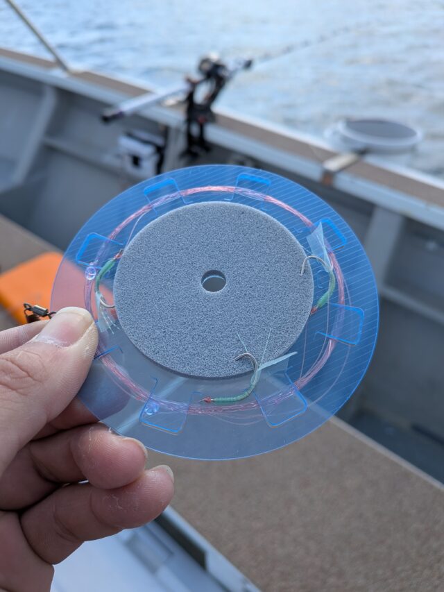 PXL_20260218_031850235.MP