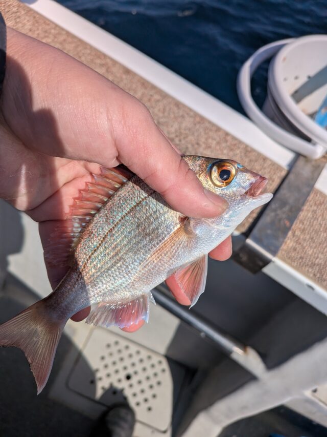 PXL_20260218_040358948.MP