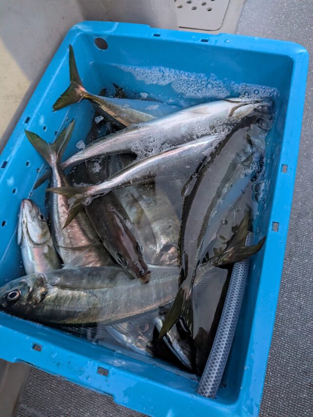 PXL_20260218_084726556