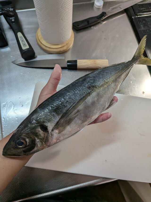 PXL_20260219_004658523