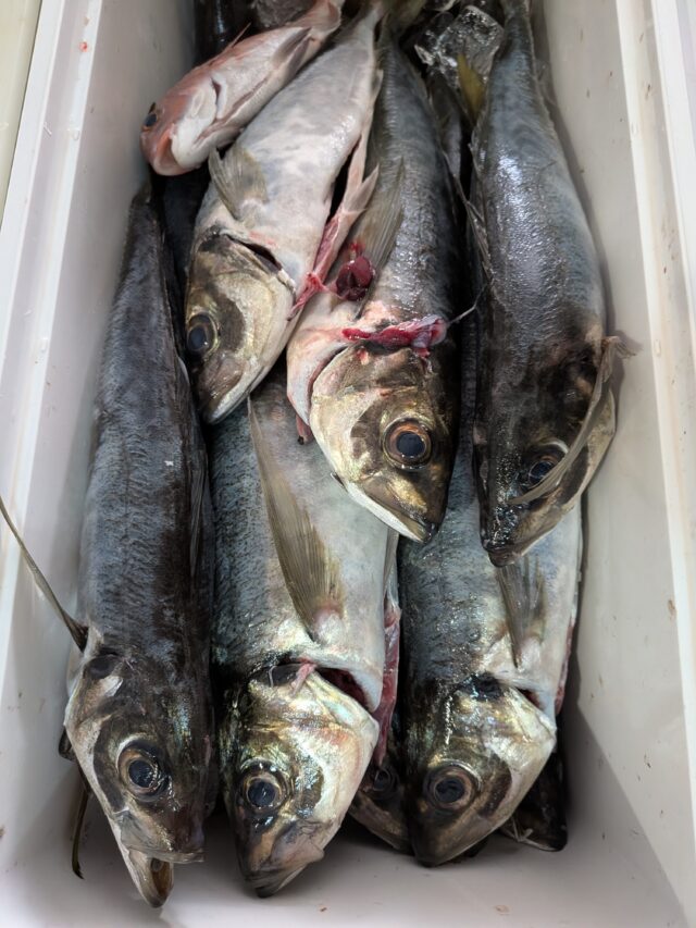 PXL_20260219_005344100