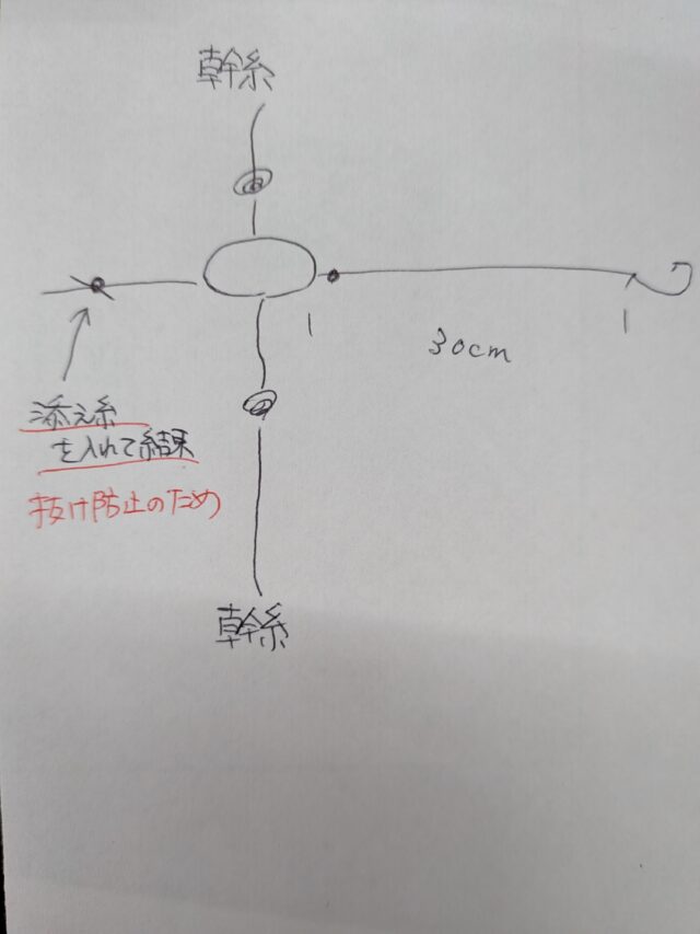 PXL_20260220_072115427.MACRO_FOCUS