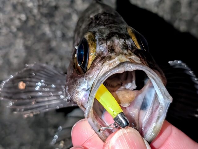 PXL_20260221_115716075~2