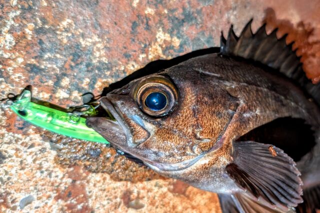 PXL_20260226_115431742~2