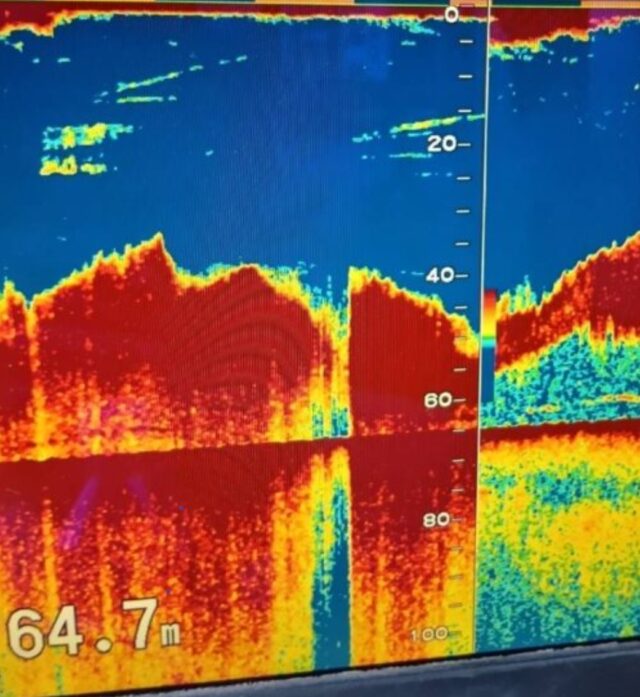 Screenshot_20260205_175308_Chrome