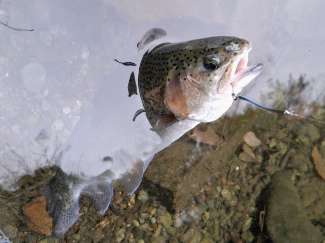 Screenshot_20260218_192942_Photos3