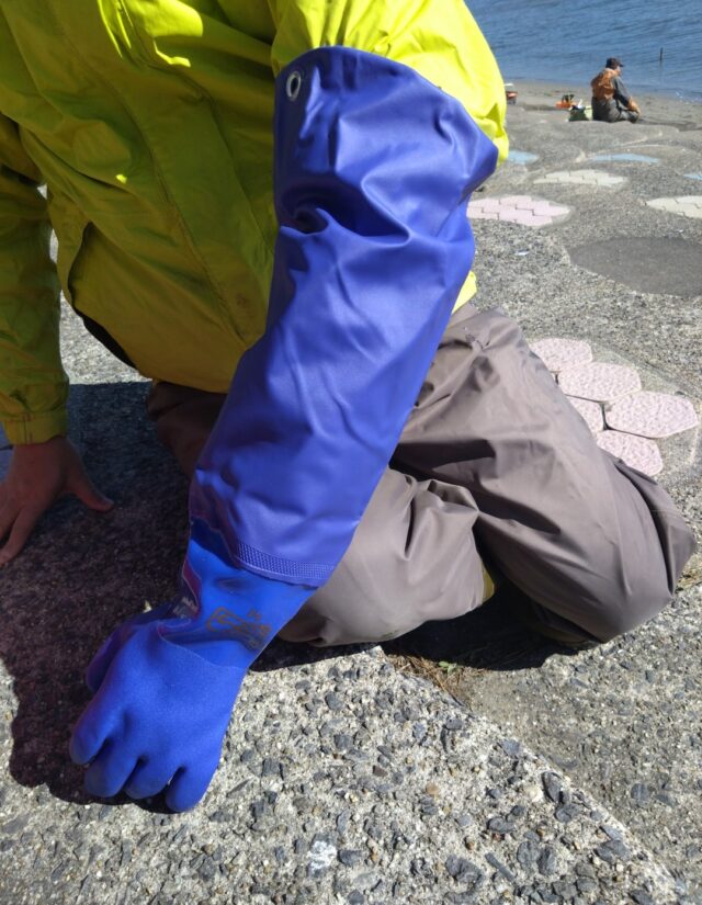 Screenshot_20260219-190312~2