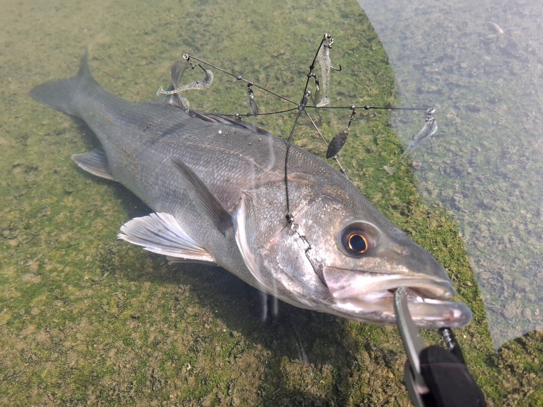 apipiXxggzL7hG494on0Hc1WkZHN-MELgUb8zMLaoQU1OIUHYBbiLRKWgKhiju1OESjcVrjC_oESkaT9gSVrwasldYgCnVIy3JZDEvA3VGH3-yxT65rvNyrWRRULb-rvz-l8wzGQwHLkU5ioxg2GJw==