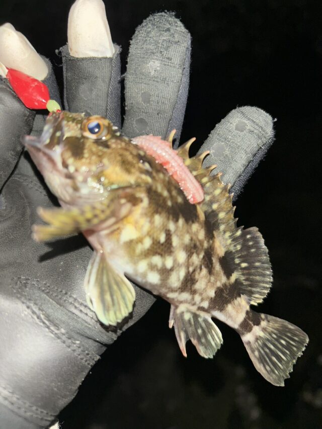 e97HpXtrOEMpfXiovfo0AlLBIJzZIJylqHumR78ggl1nqJQ5JefSFeTfPvsRFzGjcL9-BaCOm6rHRd4NI6eRWeY159s52oEmqbgjfncEJ0AtxvhvGYIsPoilRaF1Ea7t6jNu5bRgUMkvYKl3YQCxcw==