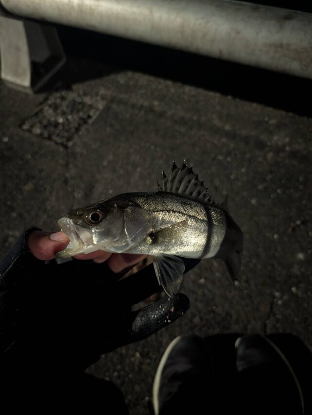 line_oa_chat_260221_153550