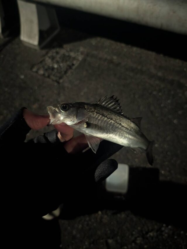 line_oa_chat_260221_153552