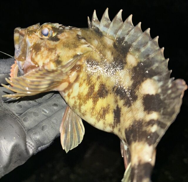 mo-o_fqeBMkBoBGpR7kxSgrFFkytPIQiyp0W0G2ZLNzc471GXMWjnhA8KIia7MUtKj_zt39YNf04bouRYk_-16xx1w1SmJV4Dk7LXk1HJMdxSpUE5gU1_Xaax22_bnFKkCPUNF5rJUTpUxwFl42Qjw==