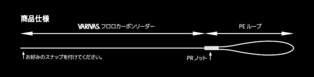 フラッシュリーダー　説明