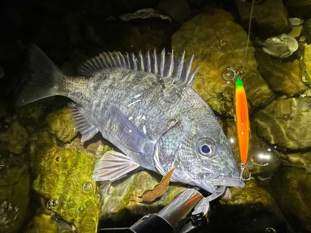 650104963_1610822310202015_7562672795633547112_n