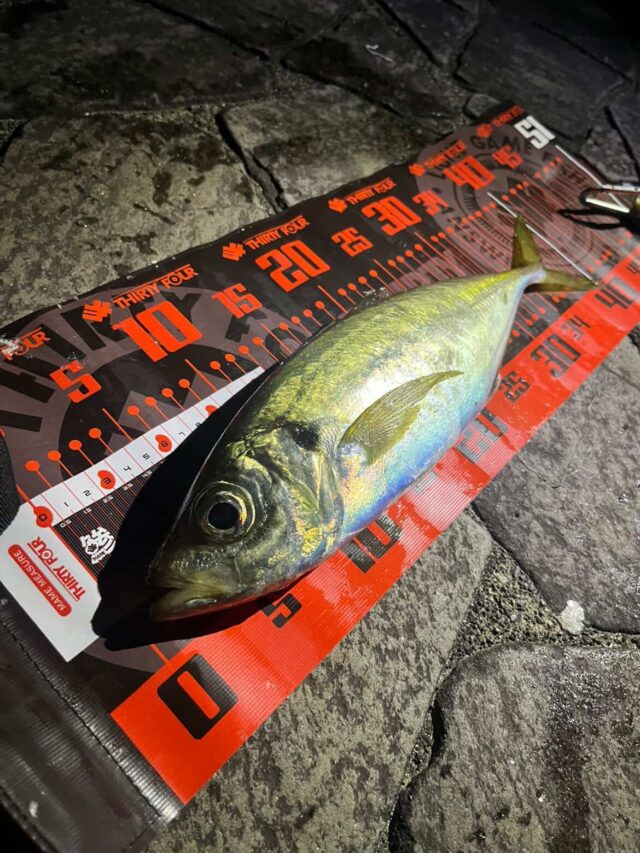 654220797_783236364864739_8447259608773122867_n