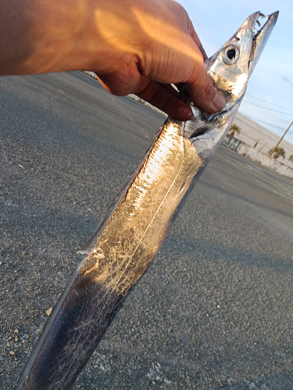 3月19日-水口様1