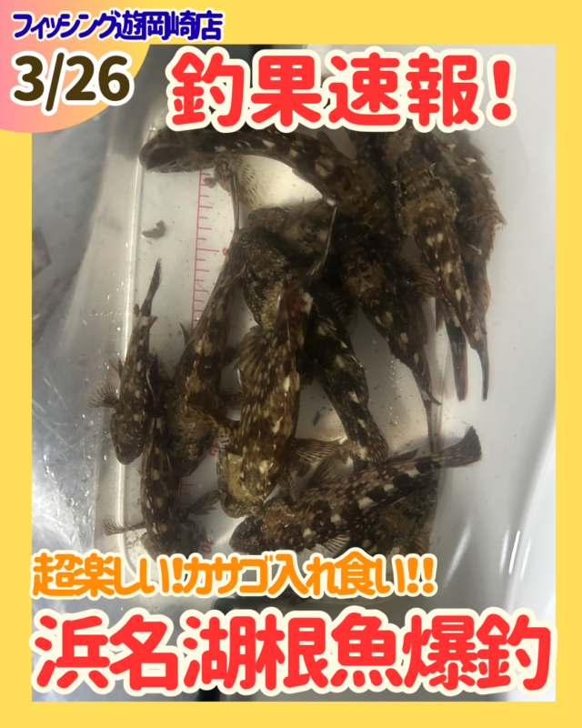 グリーン　シンプル　イベント情報　instagram投稿のコピー - 1