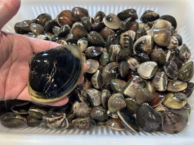 9BVWHdMOeQ8wR-qo5WzjZsomHtWeb2yK2r8oDcBH1JLb5LOzfsosCeAiqWc-auzcXLJ0_MoMiZ-4e_xSM69p5ylsEG8Qbz5YGefEOyvza86TFgHe9NHNtFxP9vuySqfuOObrIXWDvj3wvVZWXR7TOg==