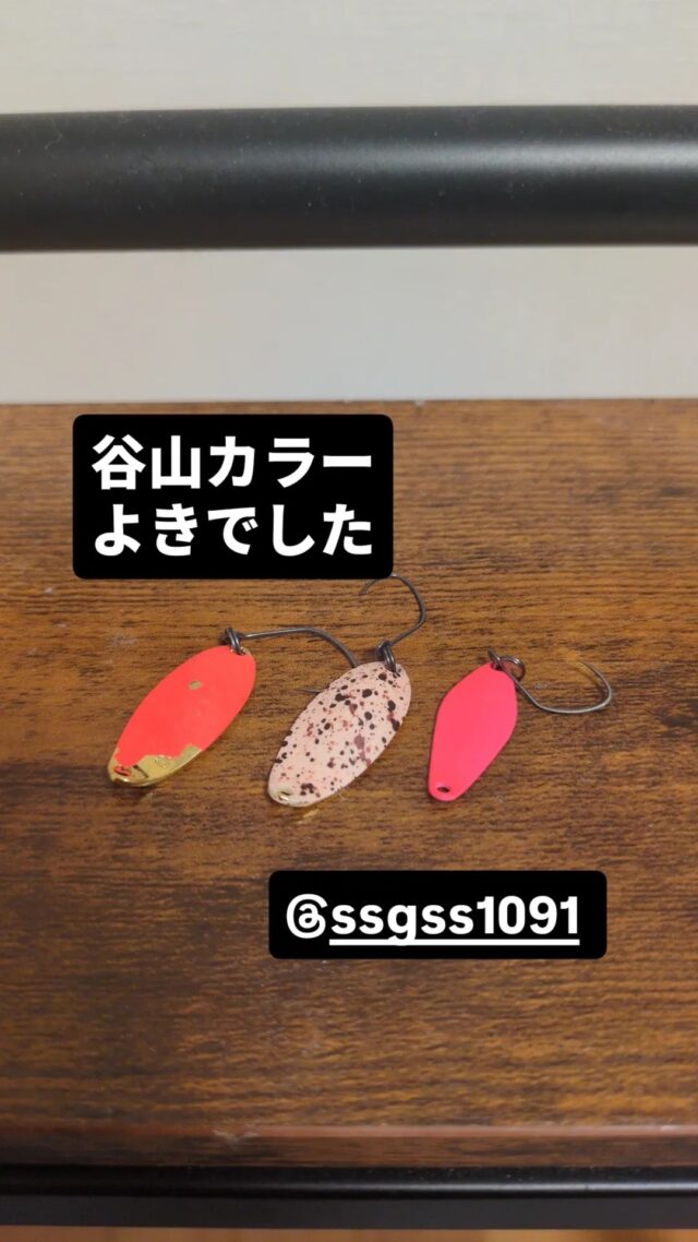 IMG_20260329_184021_631