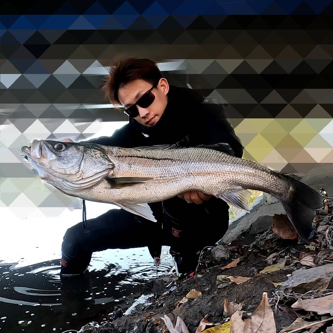 KJuEJue8MwCF2N2YQYKOFUrzNyhRsJevQXZVJQc7w2Dy2SDhNgDXB-Za7viX9KmpTWTf58Kpjvd69oGdEwKD7YTjTd4Ur92SN5jMPettAlOkmhlyrurtYLi5THWMA9BBr6fRbKROf4YksHppMo5QDQ==