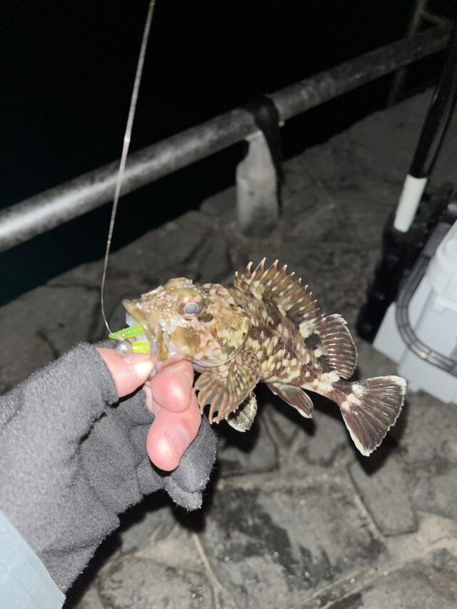 M5R4oPPCxkYbwejv1KltEDgxfy7Ok9QKADMQ3nMzs1566pTDdwASsTEAr_k7ouUEmOM6UfZjW8ifsvNHZqHr3NlGlKk475timN0u4BLH2nRplXRwsVfe0MywSssW9PoJyoEYSNdl5TIBu65cFcBv0A==