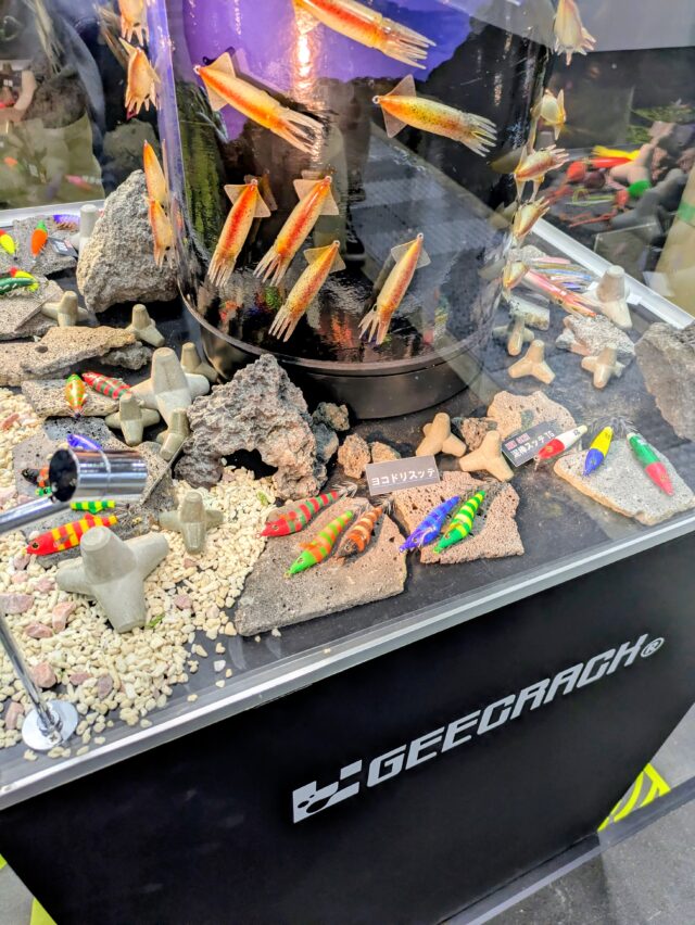 PXL_20250308_070701066.MP~2