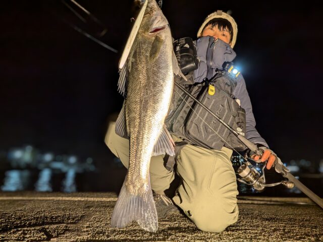 PXL_20260304_110448025.NIGHT~2