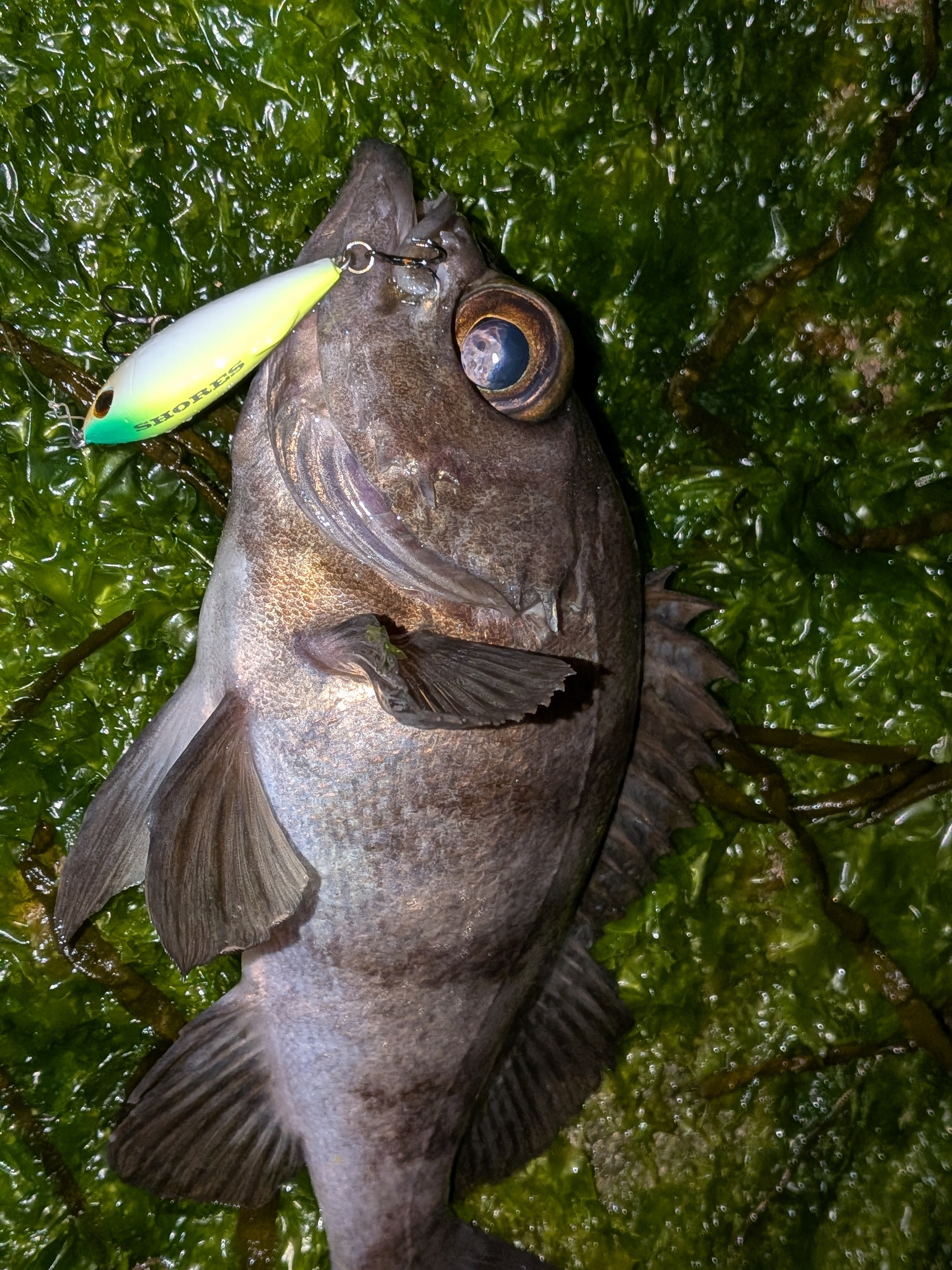 PXL_20260305_143641577.PORTRAIT.ORIGINAL